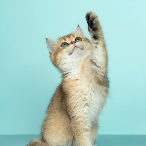 Ontdek de mooiste plekjes en tips op de Verrassend Genieten Blog